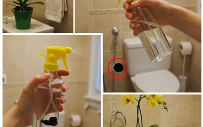 Pouze nastříkáním této směsi v koupelně se zbavíte zápachu moči navždy.