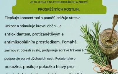 Rozmarýn a jeho zdravotní přínosy