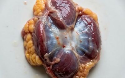 Věděli jste, že pokud jíte kuřecí žaludky, nemusíte užívat toto?
