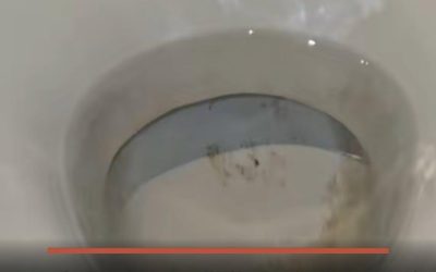 Rozlučte se s ošklivými skvrnami ve vaší toaletní míse s tímto produktem od Action.