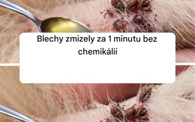 Blechy zmizely za 1 minutu bez chemikálií