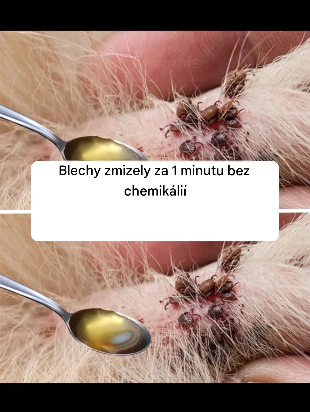 Blechy zmizely za 1 minutu bez chemikálií