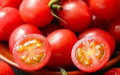 Lékaři odhalují, že konzumace rajčat způsobuje…