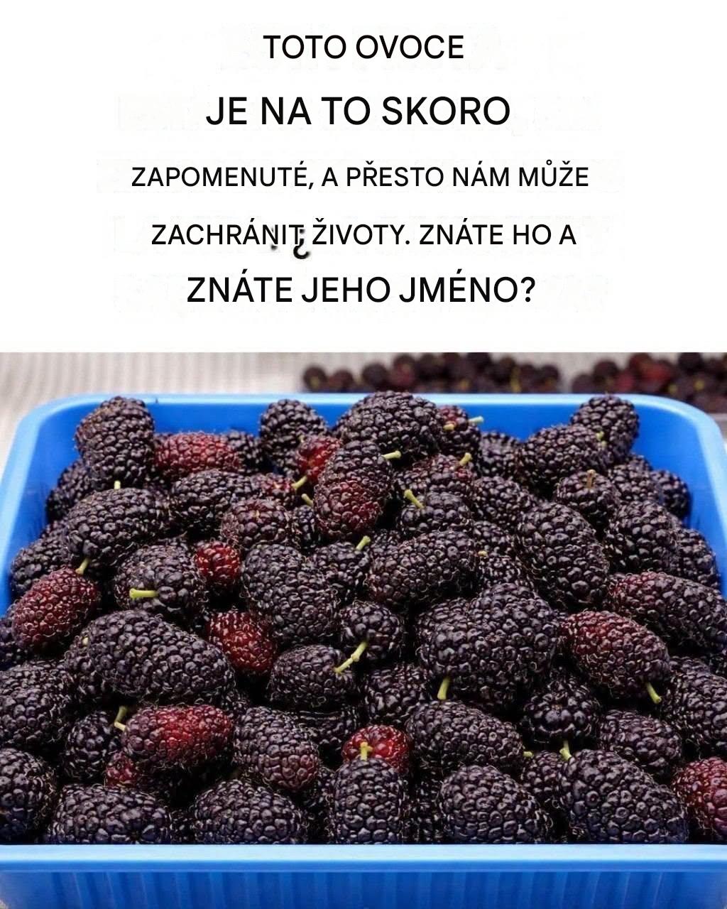 Starověké ovoce: zachraňte si život, objevte jeho sílu