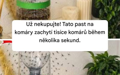Už nekupujte! Tato past na komáry zachytí tisíce komárů během několika sekund.