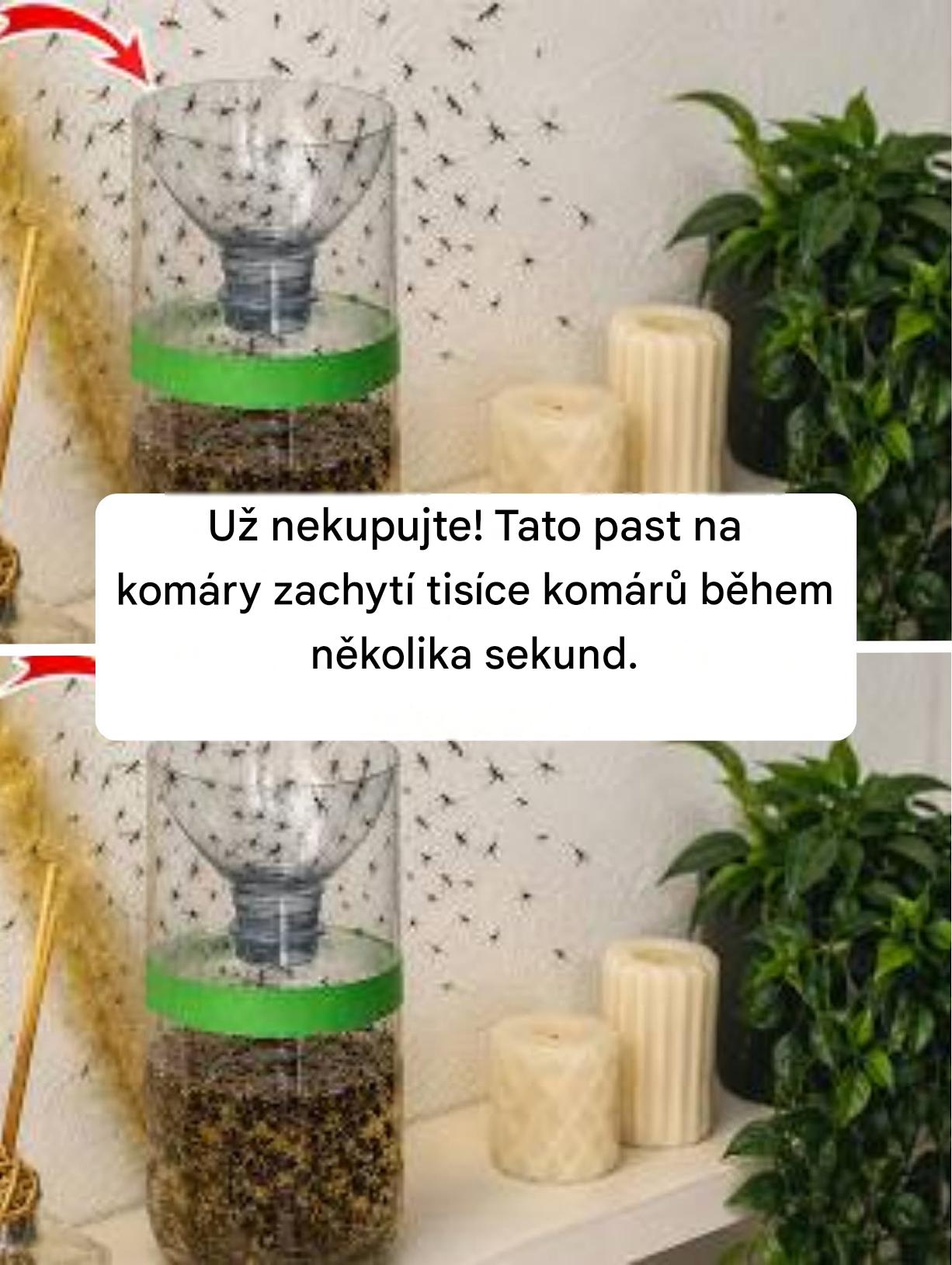 Už nekupujte! Tato past na komáry zachytí tisíce komárů během několika sekund.