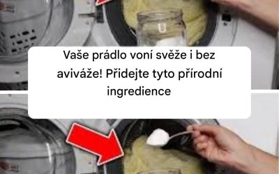 Vaše prádlo voní svěže i bez aviváže! Přidejte tyto přírodní ingredience