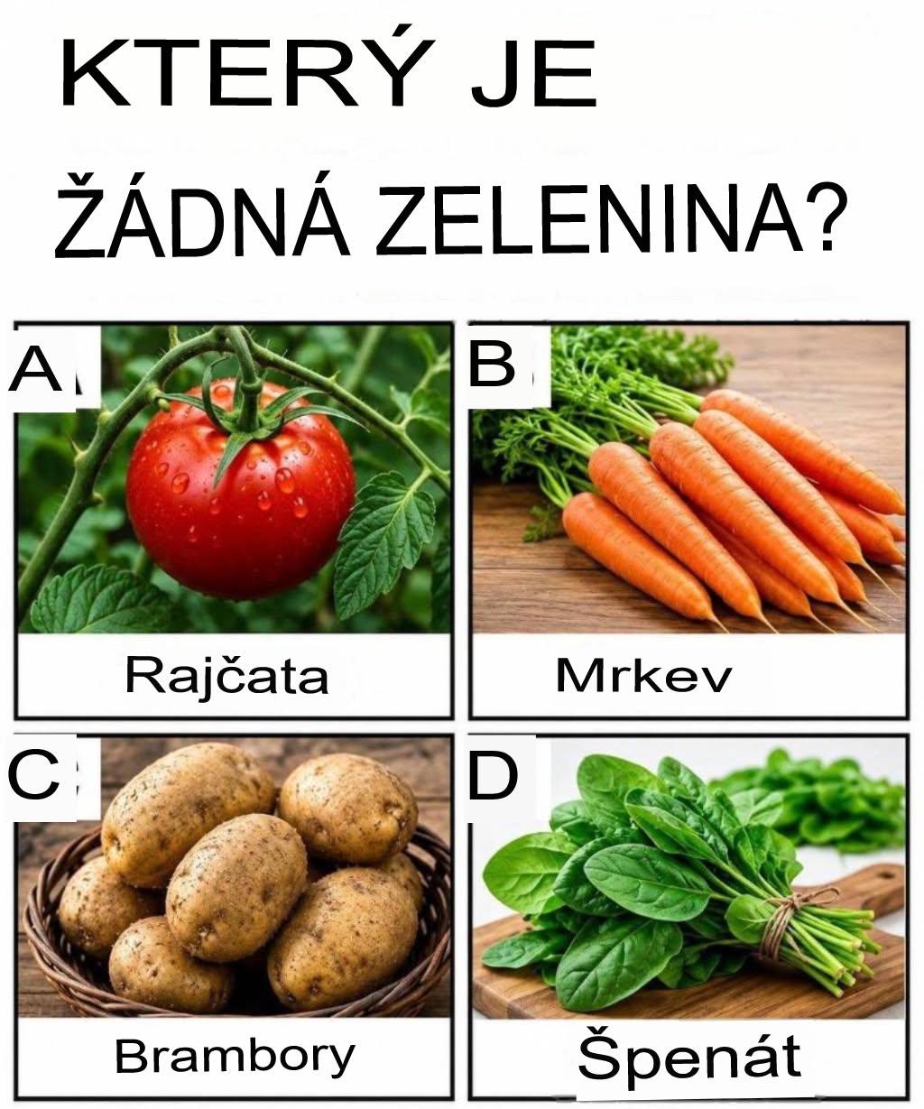 Můžete odpovědět na tyto složité otázky?