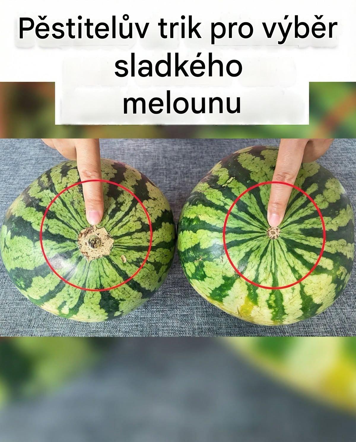 Jsou vodní melouny sladké? Stačí se podívat a hned to budete vědět. Stará metoda pěstitele melounů zaručeně funguje, vždycky najdete ten pravý.