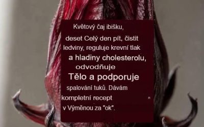 Ibiškový čaj: Proč tento populární nápoj nadále přitahuje pozornost vědců a specialistů