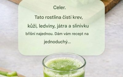 Tato rostlina čistí krev, kůži, ledviny, játra a slinivku břišní najednou. Ale udělejte to takto… Chcete-li i nadále dostávat mé recepty, stačí něco říct… Děkuji!