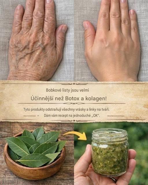 Bobkový list je mnohem účinnější než Botox a kolagen! Odstraňte všechny vrásky a jemné linky.