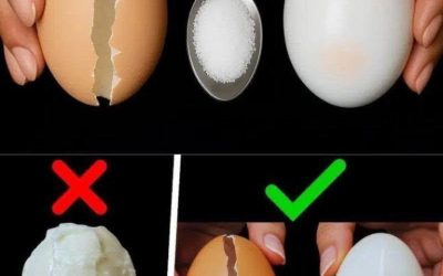 Nevařte vejce přímo ve vodě: takhle se vejce vaří v pětihvězdičkových hotelech!