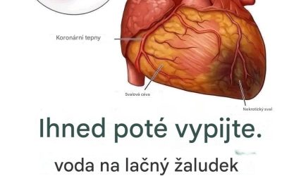 Věděli jste, že pití vody na lačný žaludek může... zobrazit více