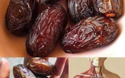 Toto málo známé večerní ovoce by mohlo způsobit revoluci ve vaší wellness rutině: zde je důvod