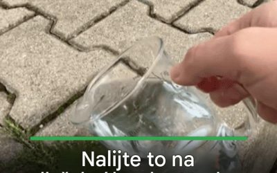 Nalijte to na dlažební kostky. Mech a plevel zmizí až k kořenům!