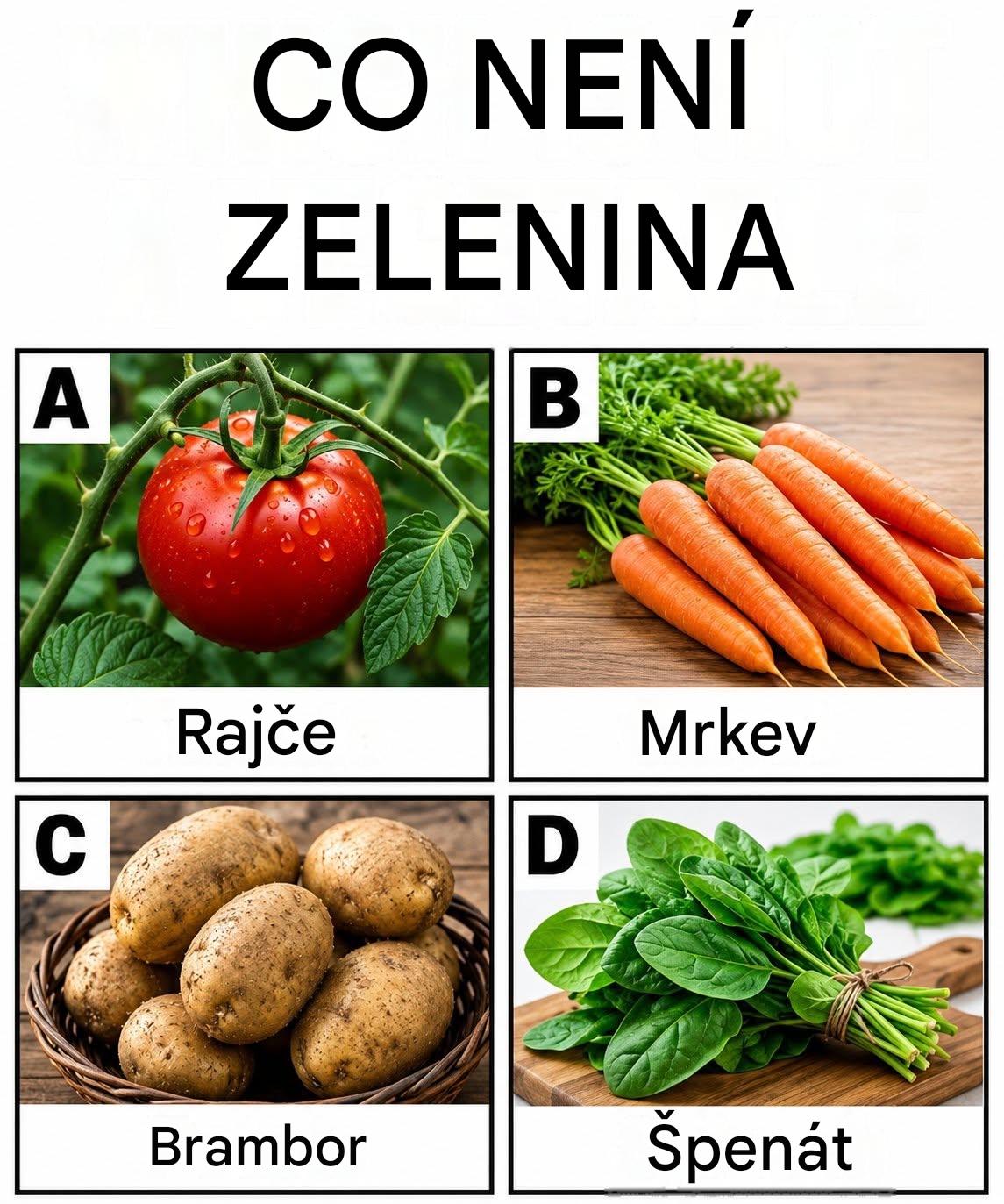 Dokážete odpovědět na tyto záludné otázky?