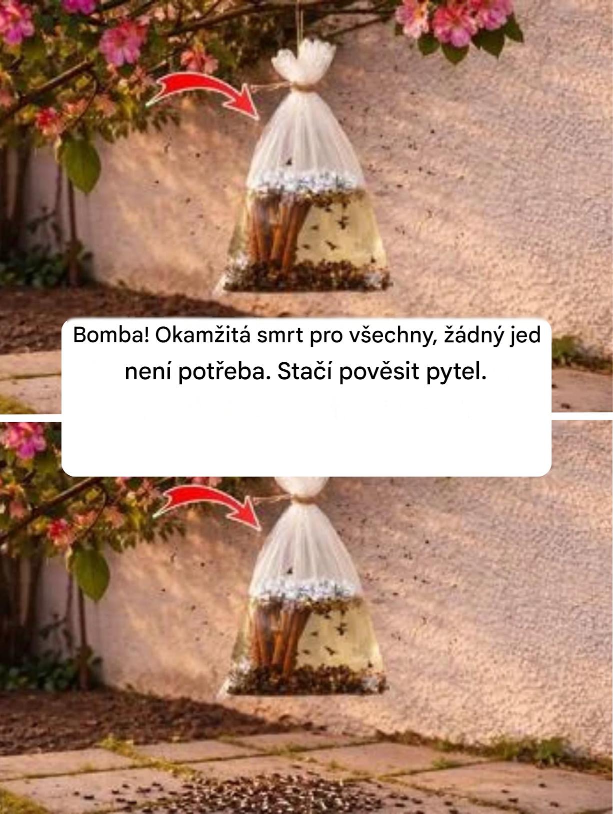 Bomba! Okamžitá smrt pro všechny, žádný jed není potřeba. Stačí pověsit pytel.