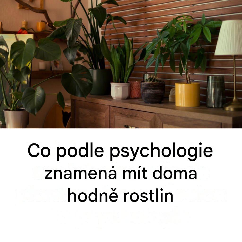 Proč vaše láska k rostlinám podle psychologických expertů hodně vypovídá o vaší osobnosti