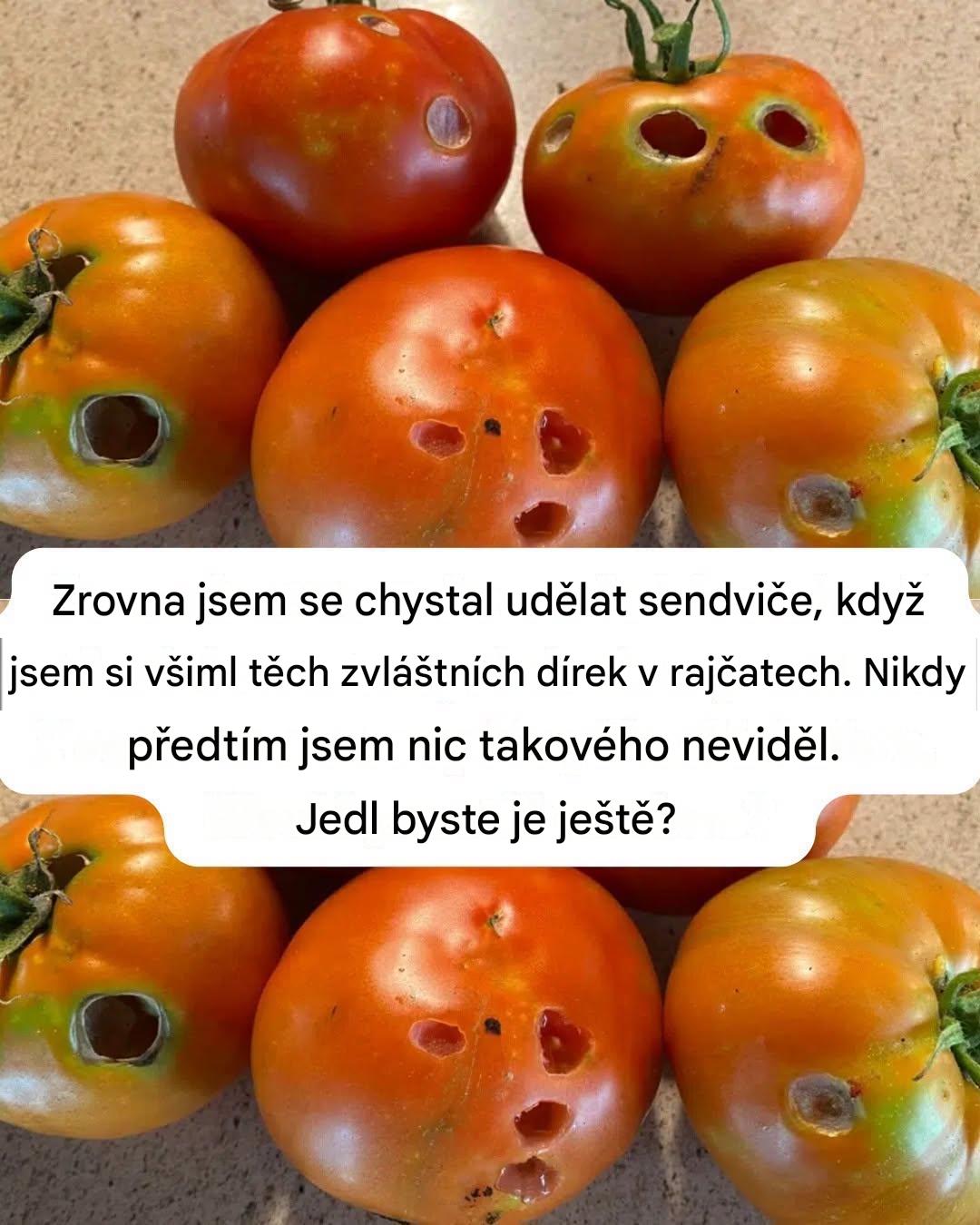 Co to znamená, když v rajčatech vidíte tyto díry (a jak s grácií zachránit svou úrodu)