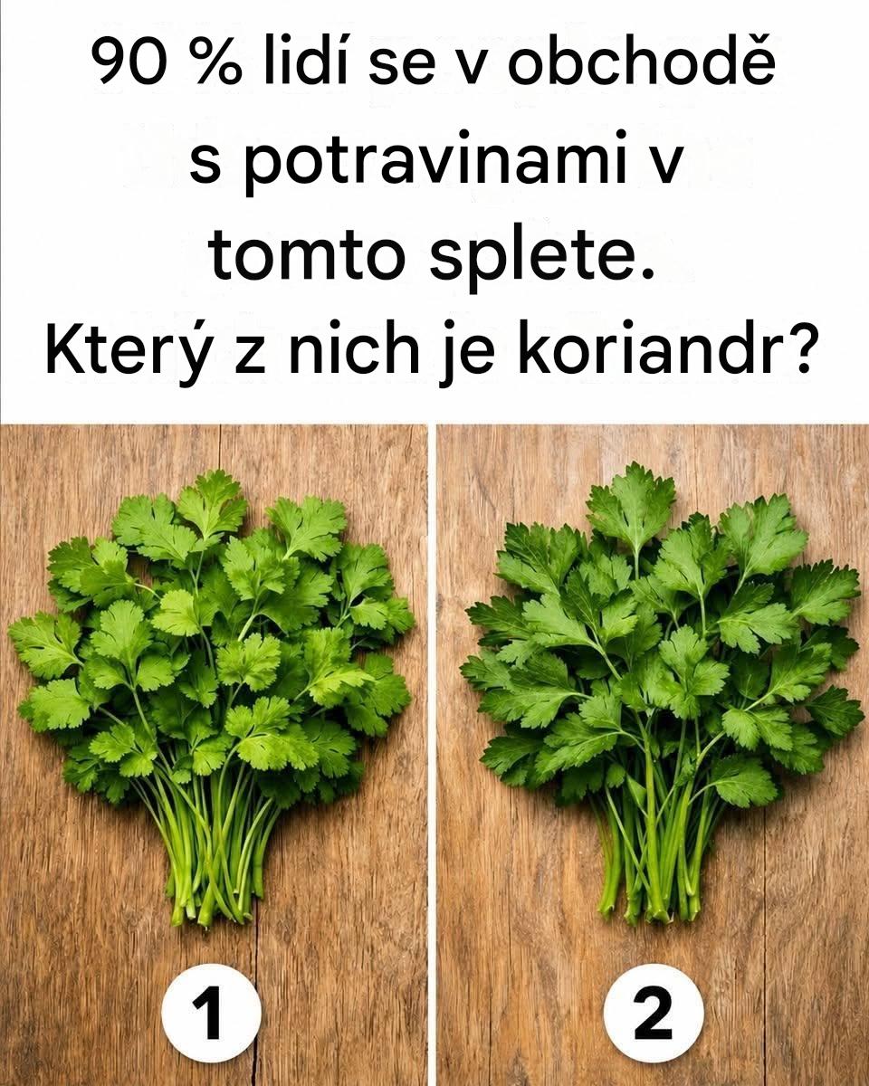 90 % lidí se v obchodě s potravinami v tomto splete. Který z nich je koriandr?