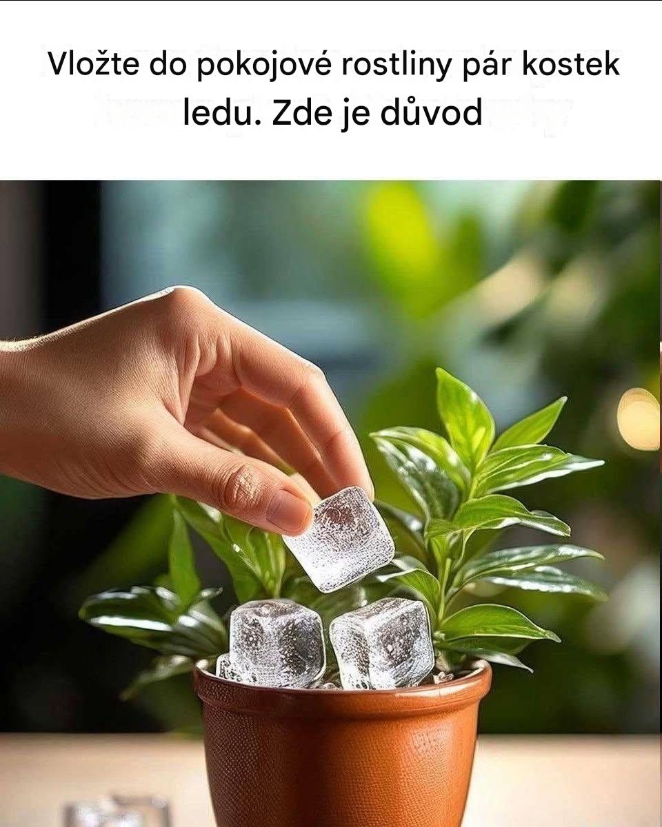 Tenhle trik jsem viděl nedávno a myslel jsem si, že je skvělý.