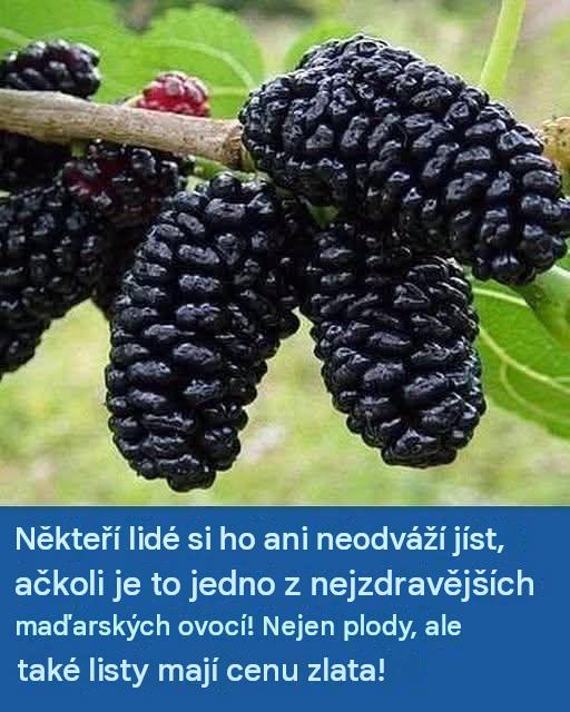 Používá se také k prevenci rakoviny, zmírnění cukrovky a vysokého krevního tlaku! Kdo