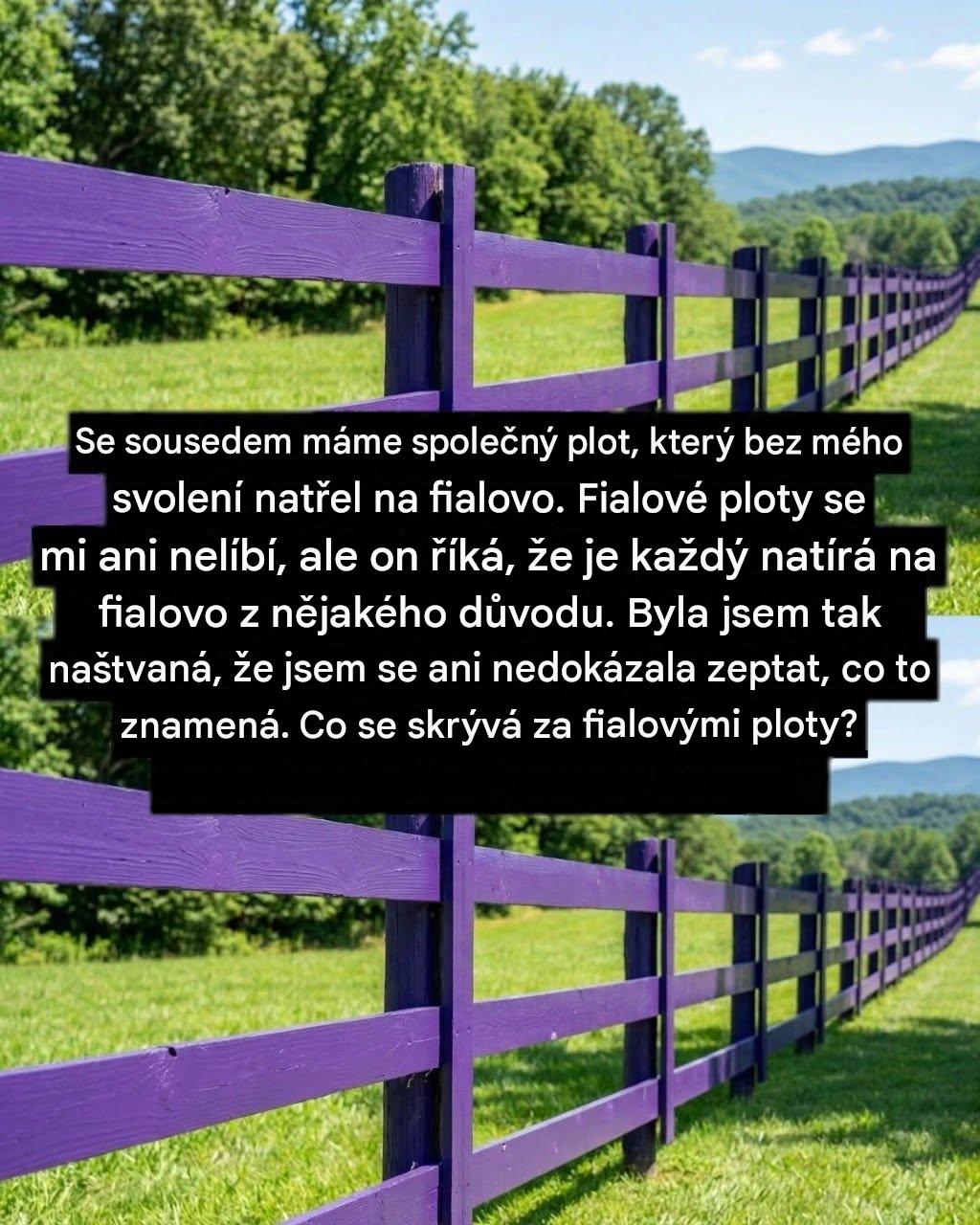 SKRYTÉ VAROVÁNÍ ZA FIALOVÝM PLOTEM ODHALENO, ODBORNÍCI NALÉHAJÍ NA TURISTY A MAJITELE DOMŮ, ABY SE DOZVĚDĚLI MRAZIVOU PRÁVNÍ PRAVDU, NEŽ BUDE POZDĚ