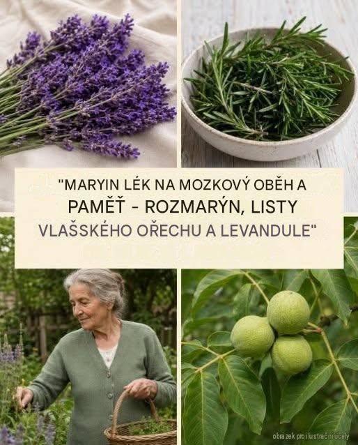 POKUD CHCETE OD MĚ DOSTÁVAT DALŠÍ RECEPTY, NAPIŠTE „ANO“