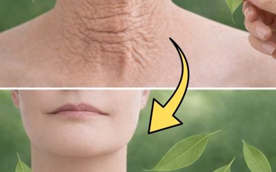 Bobkové listy jsou 100 000krát silnější než Botox. Vymažou všechny vrásky, a to i v 70 letech. Chcete-li i nadále dostávat mé recepty, stačí něco říct… Děkuji!