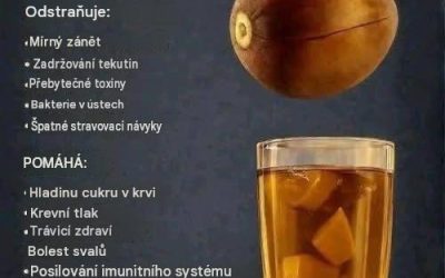 Čaj z avokádových semínek: Výhody, recept a co byste měli vědět