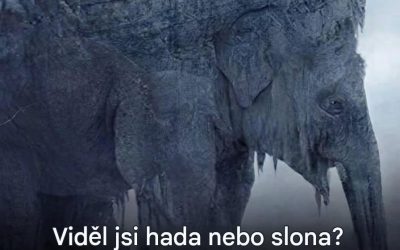 Had nebo slon: tato virální optická iluze říká vše o tom, jak vidíte budoucnost