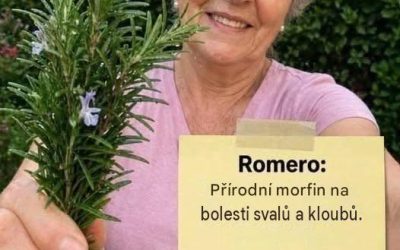 Rozmarýn: přírodní lék na bolesti svalů a kloubů. Celý recept a návod jsem uvedla v prvním komentáři. Chcete-li i nadále dostávat mé přírodní recepty, zanechte komentář... Děkuji!