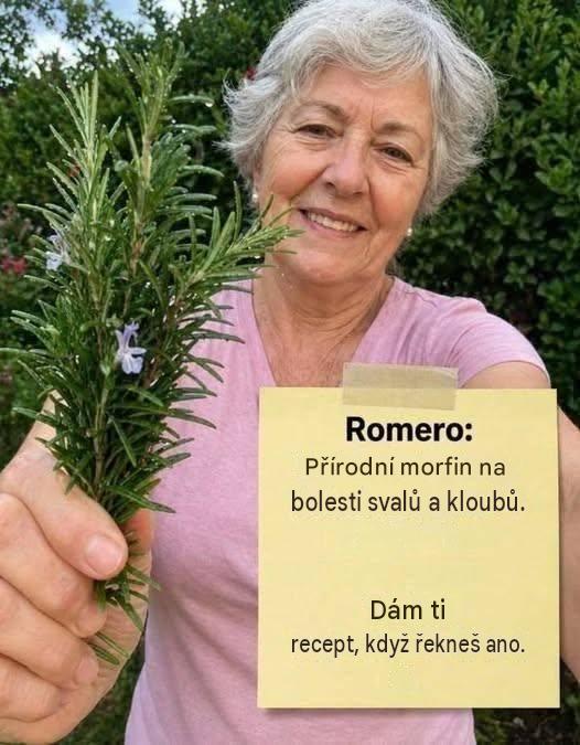 Rozmarýn: přírodní lék na bolesti svalů a kloubů. Celý recept a návod jsem uvedla v prvním komentáři. Chcete-li i nadále dostávat mé přírodní recepty, zanechte komentář... Děkuji!