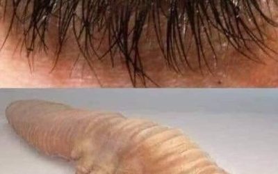To jsou důsledky spaní s… Zobrazit více