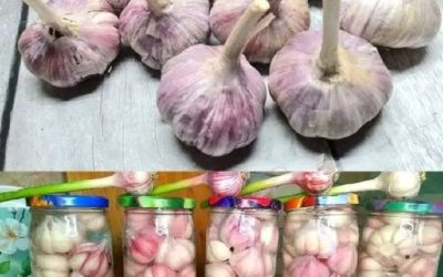 Česnek vždy čerstvý a neporušený po dobu 1 roku: tento kuchařský trik znají jen šéfkuchaři