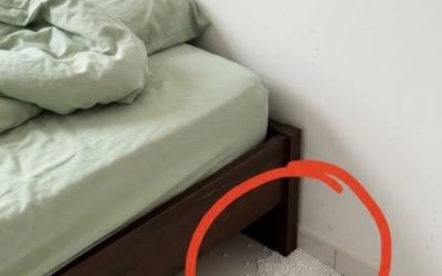 Malé bílé kuličky poblíž postele: ještěrčí vejce nebo něco jiného? Co potřebujete vědět