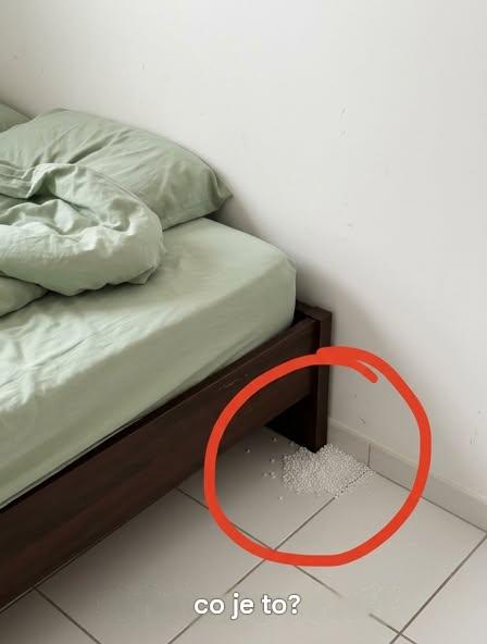 Malé bílé kuličky poblíž postele: ještěrčí vejce nebo něco jiného? Co potřebujete vědět