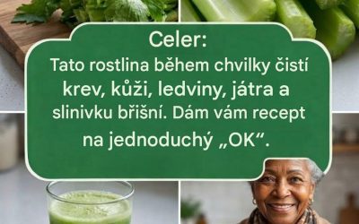 Celerová šťáva k čištění ledvin, jater a plic