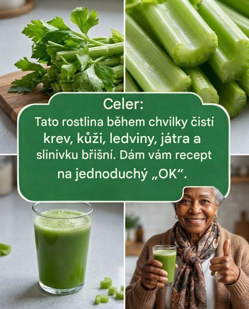 Celerová šťáva k čištění ledvin, jater a plic