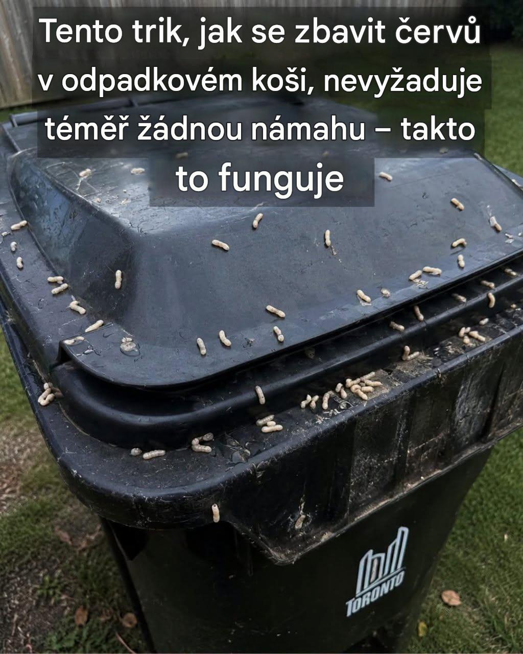 Jak zabránit červům v ovládnutí vašeho odpadkového koše