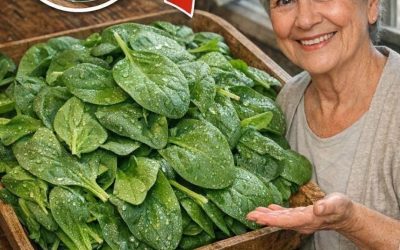 Zabiják bakterií: smrt začíná ve střevech. Tato rostlina čistí střeva a játra. Dám vám recept na jednoduchý…