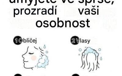 Pokračujte ve čtení pod prvním komentářem..